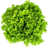 Salat der Woche Eschenhof