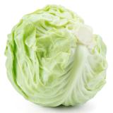 Weißkohl klein Eschenhof