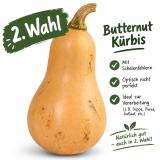 5 kg Butternut Kürbis Eschenhof 2 Wahl