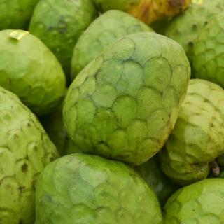 Cherimoya