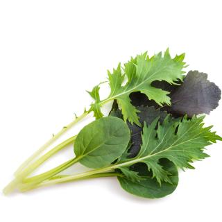 Winterschnittsalat Mix