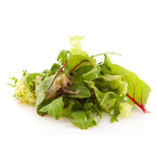 Wildkräutersalat