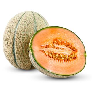 Honigmelone Charantais