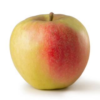 Äpfel Gala