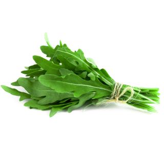 Rucola Eschenhof