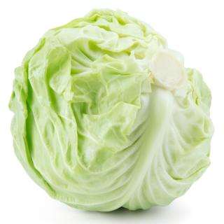 Weißkohl Eschenhof