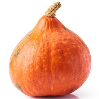 Kürbis Hokkaido mini Eschenhof