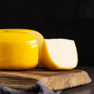 Gouda jung