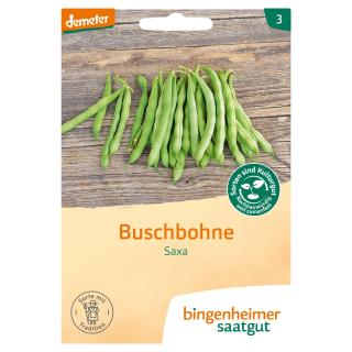 Saat Buschbohne Saxa