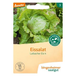 Saat Eissalat Laibacher Eis