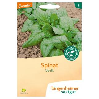 Saat Spinat Verdil
