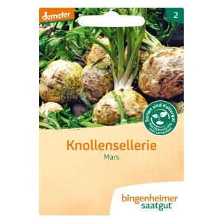 Saat Knollensellerie Mars