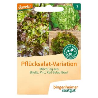 Saat Pflücksalat Variation