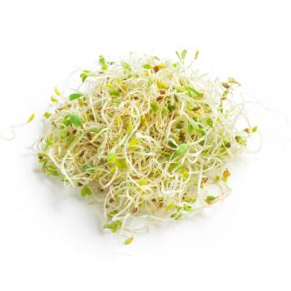 Frische Alfalfasprossen 100 g