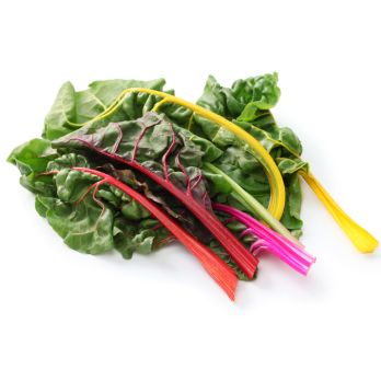 Mangold bunt Eschenhof