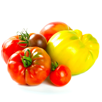 Fleischtomaten Ochsenherz Eschenhof