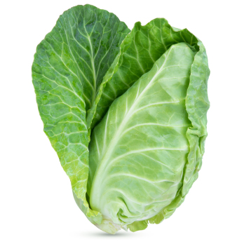 Spitzkohl Eschenhof