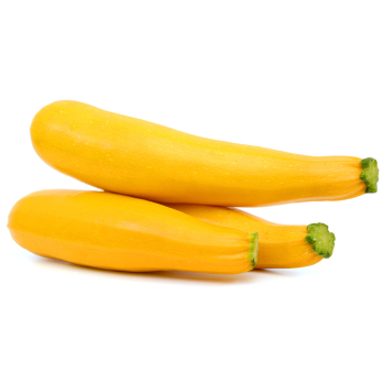 Zucchini gelb Eschenhof