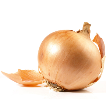 Gemüsezwiebeln Eschenhof